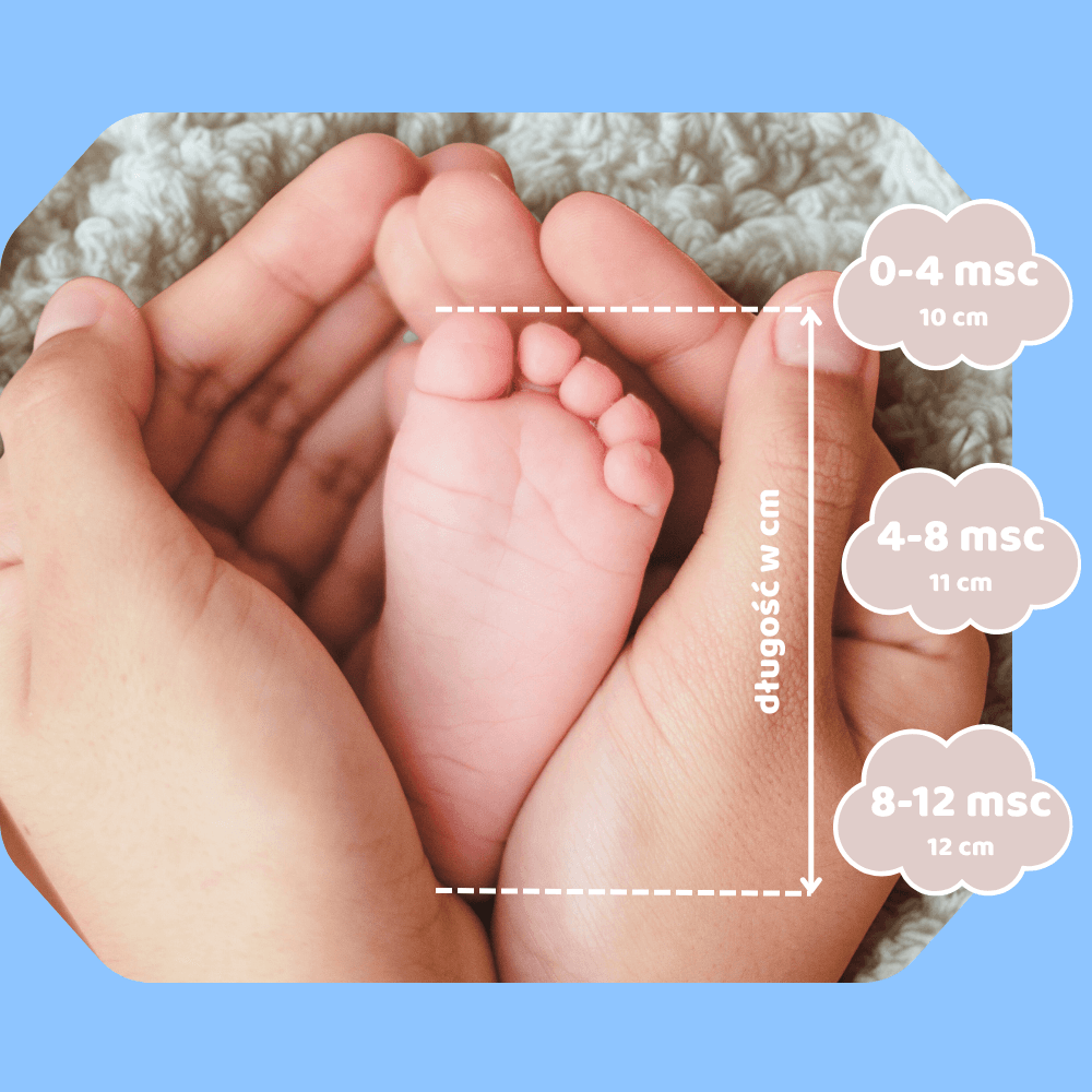 MiśBam - Misiowe bamboszki